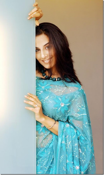 vidya balan blue saree hot images